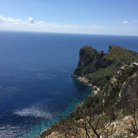 La Casa Di Paola Βίλα Nerano Εξωτερικό φωτογραφία